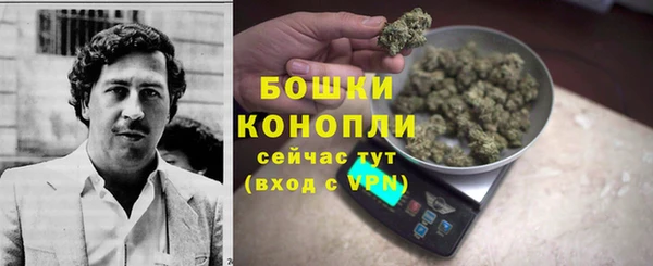 амф Липки