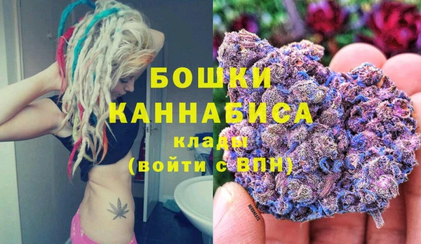 амф Липки