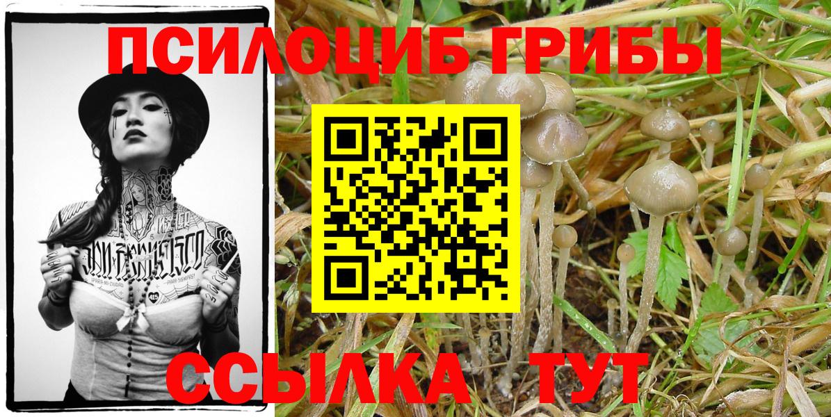 Галлюциногенные грибы GOLDEN TEACHER  Галлюциногенные грибы мухоморы  Коломна 