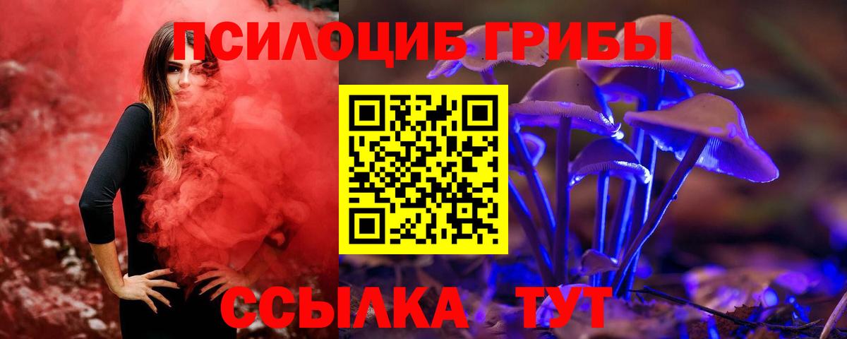 Псилоцибиновые грибы Magic Shrooms  Галлюциногенные грибы прущие грибы  Коломна  Вход с VPN 