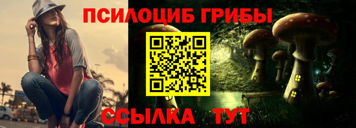 Псилоцибиновые грибы MAGIC MUSHROOMS Коломна