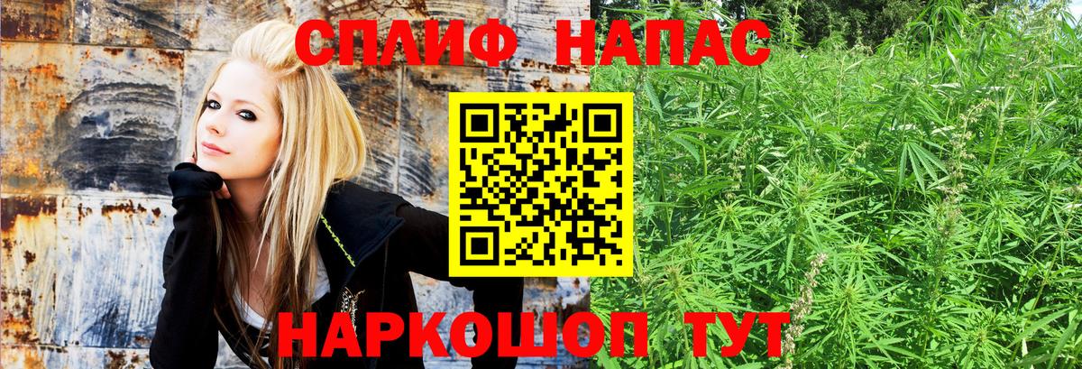 МАРИХУАНА план Коломна
